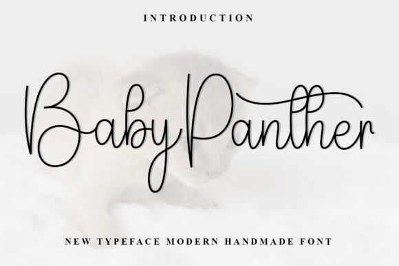 Baby Panther Font Review