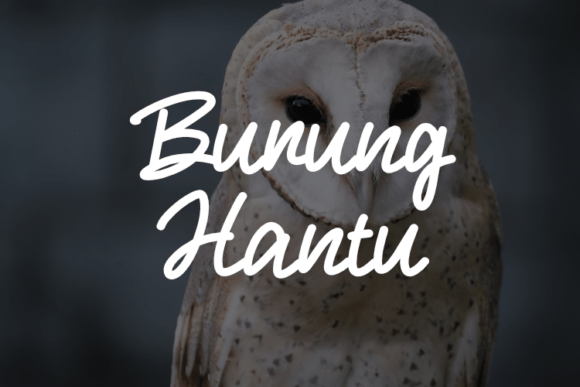 Font Burung Hantu untuk Brand yang Menarik
