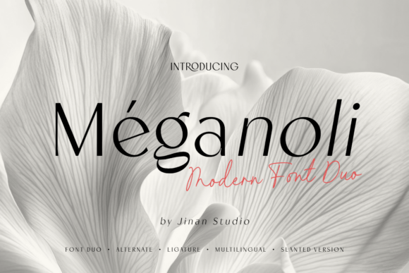 Meganoli Duo Font for Web Design